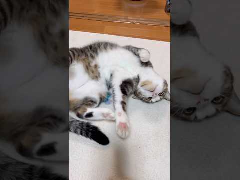 どうした?どうした?