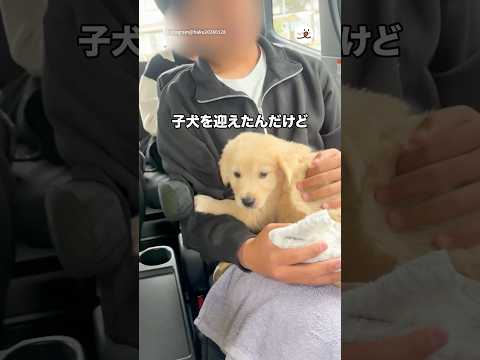 母犬と離れ離れにさせた悲しみで次男が…😢｜PECO サムネイル