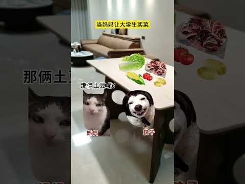 大学生暑假赚钱的方式之一 有趣 猫meme 猫meme剧场 猫meme小剧场 内容过于真实  故事 貓 猫猫meme小…