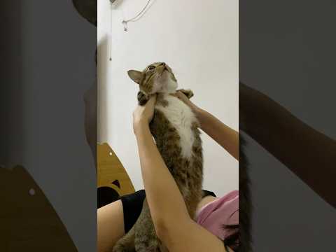 Tutu’s stretching time サムネイル