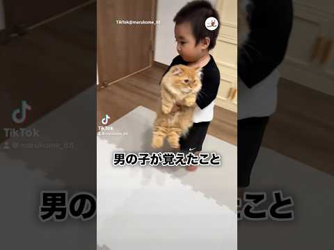 猫さんを運ぶ男の子が…｜PECO サムネイル
