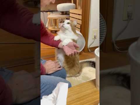 どうしてほしいと思う？ サムネイル