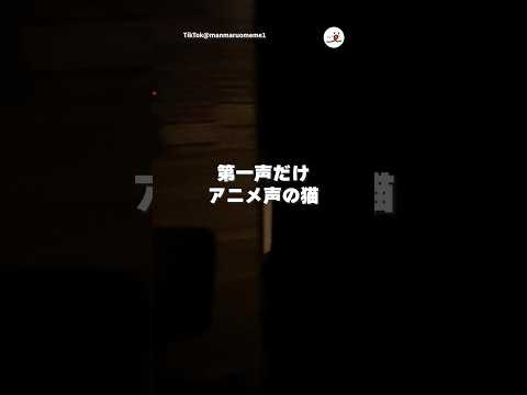 アニメ声の猫｜PECO サムネイル