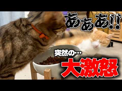 撮影中に大事件が起きてしまいました…。 サムネイル