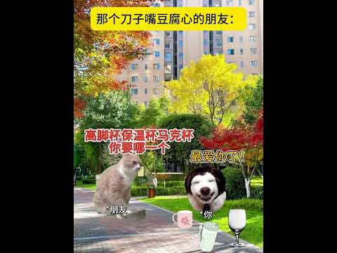 刀子嘴豆腐心，朋友一生一起走~  有趣 猫meme 猫meme剧场 猫meme小剧场 内容过于真实  故事 貓 猫猫m… サムネイル