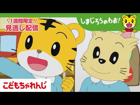 【見逃し配信】テレビ番組「しまじろうのわお！」 2月28日放送 ｜どうする？ おみせやさん｜713【しまじろうチャンネ…