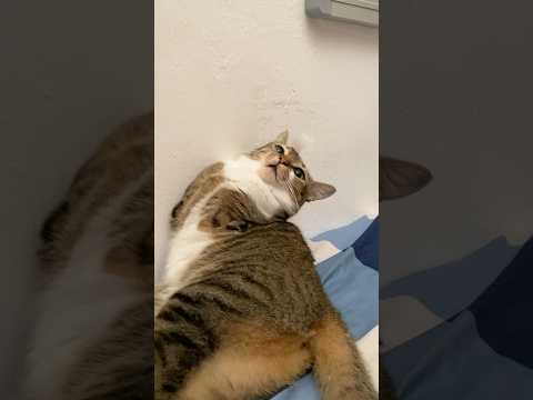 Helicopter サムネイル