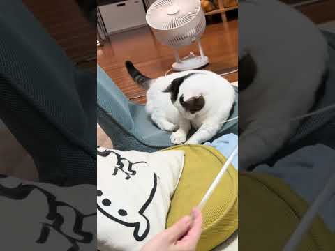 あかん、勢い余って