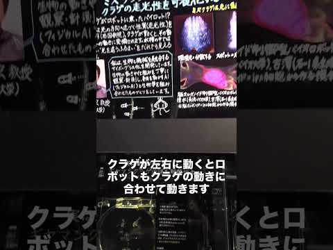 🪼🤖クラゲロボット🤖🪼展示