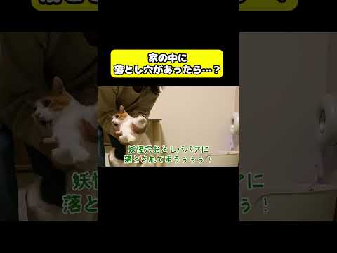 家の中に落とし穴があったら…？猫 おもしろ アテレコ ニャンチューバーつくし サムネイル