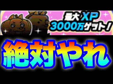 最高のイベント「XP3000万ゲット」は絶対にやれ！　#にゃんこ大戦争　#battlecats　【オレンジチャンネル】