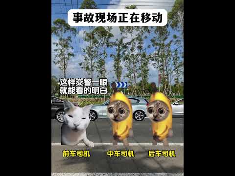 事故现场正在移动 有趣 猫meme 猫meme剧场 猫meme小剧场 内容过于真实  故事 貓 猫猫meme小剧场 喵…