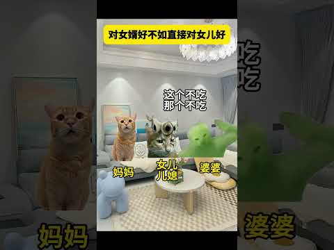 对女婿好不如直接对女儿好 有趣 猫meme 猫meme剧场 猫meme小剧场 内容过于真实 故事 貓 猫猫meme小…