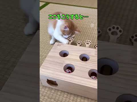 ぬくもりを、どうぞ