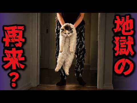 そ…そんなまさか…アレはもう終わったはずなのに何故…！？