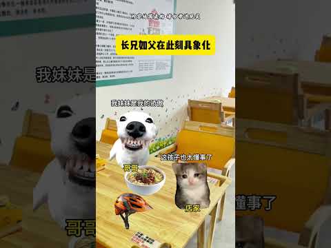 长兄如父在此刻具象化 有趣 猫meme 猫meme剧场 猫meme小剧场 内容过于真实  故事 貓 猫猫meme小剧场… サムネイル