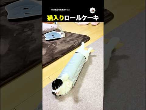 ローラーに入ったらロールケーキになった|PECO