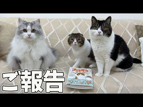 ご報告があります！