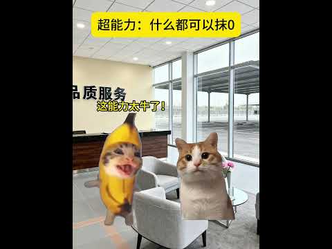 二选一 有趣 猫meme 猫meme剧场 猫meme小剧场 内容过于真实  故事 貓 猫猫meme小剧场 喵不可言 サムネイル