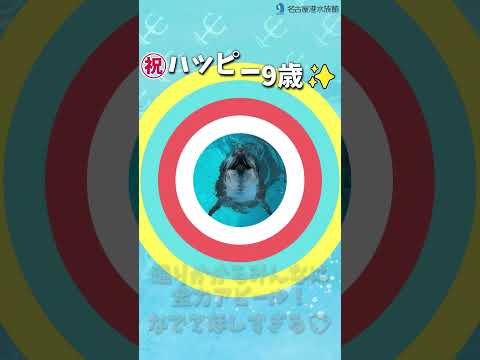 ハッピーが9歳になりました🌟 名古屋港水族館 shorts
