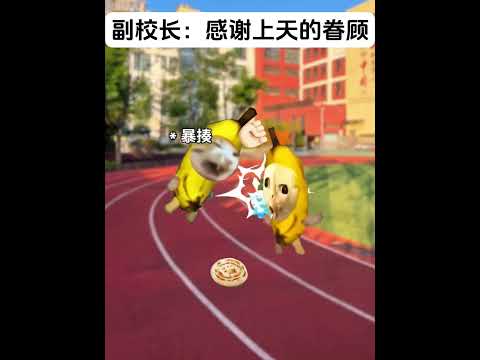 副校长：感谢上天的眷顾 有趣 猫meme 猫meme剧场 猫meme小剧场 内容过于真实  故事 貓 猫猫meme小剧… サムネイル