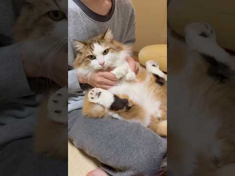 なんかリズムが・・・ サムネイル