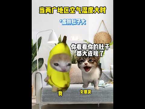 当两广人湿气重时猫meme 内容过于真实 两广 猫meme小剧场 サムネイル