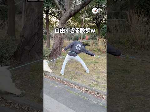 自由すぎる散歩w｜PECO サムネイル