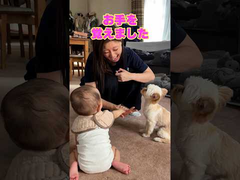まぐれじゃなかった!|PECO