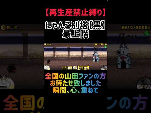 【再生産禁止縛り】真田がいればにゃんこ別塔【黒】最上階を出撃２体のみで速攻攻略出来る説 にゃんこ大戦争 サムネイル