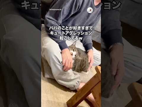 パパのことが好きすぎて…🤭|PECO