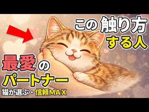 【寿命が縮む!?】良かれと思ってやっているNGな猫の撫で方と絆が深まる究極の接し方【７選】  猫 雑学 豆知識 猫の撫… サムネイル