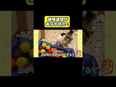 猫の怪盗団があらわれた！　猫 おもしろ アテレコ ニャンチューバーつくし サムネイル