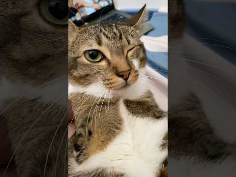 Wink サムネイル