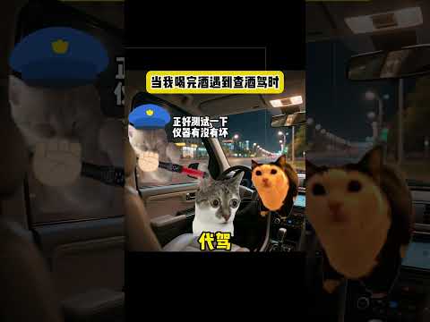 当我喝完酒遇到查酒驾时有趣 猫meme 猫meme剧场 猫meme小剧场 内容过于真实  故事 貓 猫猫meme小剧场… サムネイル