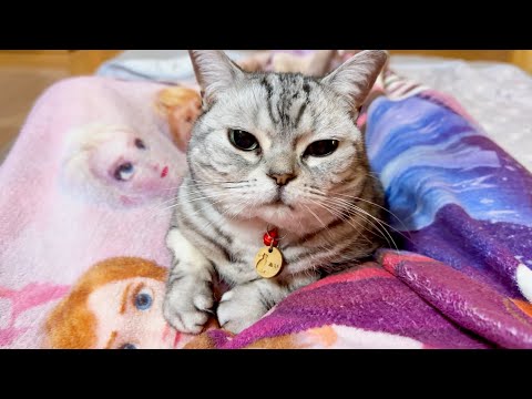 あいちゃんのかわいいお手手。そして珍しいことがおきました サムネイル
