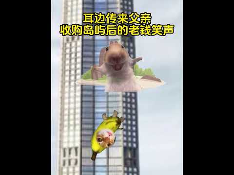 重生之幻想 有趣 猫meme 猫meme剧场 猫meme小剧场 内容过于真实  故事 貓 猫猫meme小剧场 喵不可言 サムネイル