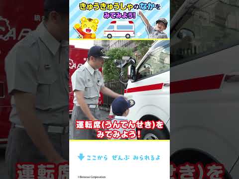 きゅうきゅうしゃの中はどうなってる?サイレンを ならしてみたよ!🚑|しまじろう Shorts