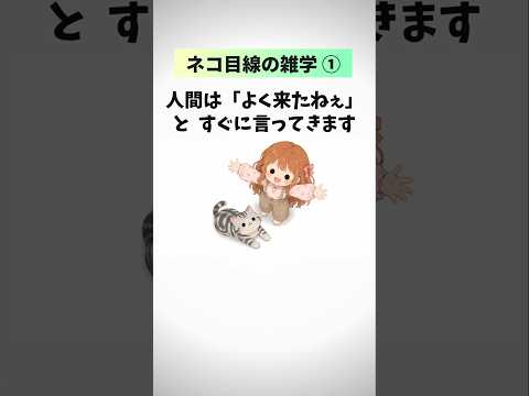 猫目線で見る人間の行動がだいたいチョロすぎる件① 猫 雑学 豆知識 トリビア 音声「VOICEVOX:ずんだもん」さん サムネイル
