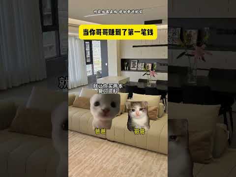 当你哥哥赚到了第一笔钱 有趣 猫meme 猫meme剧场 猫meme小剧场 内容过于真实  故事 貓 猫猫meme小剧… サムネイル