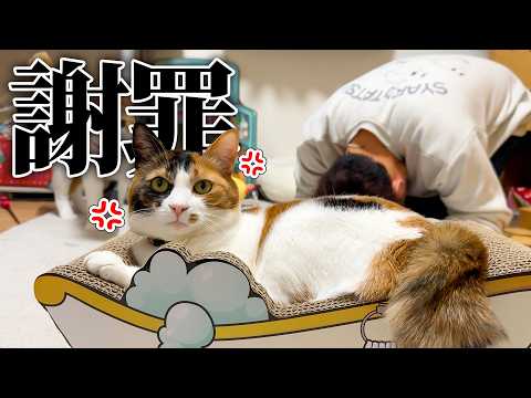 ベルちゃんに謝罪しなければいけません。 サムネイル