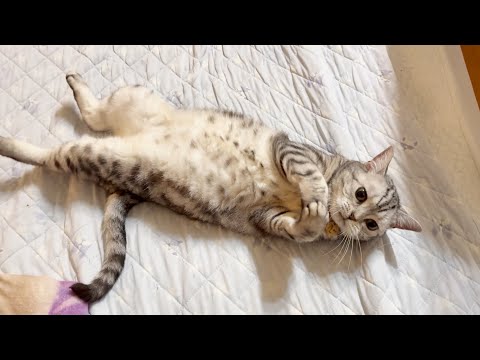 こういうことするのあいちゃんだけなんだよなあ サムネイル