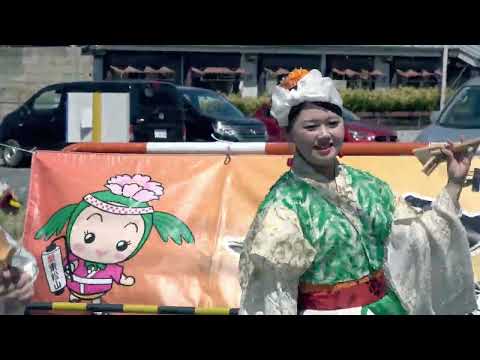 妃龍③＠2026　陣屋通り商店会一周年祭 サムネイル