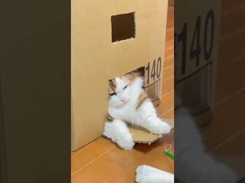 もういい、閉める