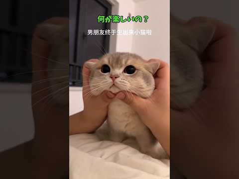 猫って…かわい♥ サムネイル