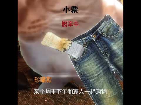 当你在旧衣服里开盲盒 有趣 猫meme 猫meme剧场 猫meme小剧场 内容过于真实  故事 貓 猫猫meme小剧场… サムネイル