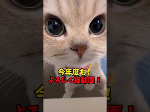今年度もよろしく☆ サムネイル