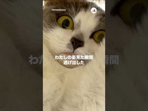 旦那さんの実家に行った結果…｜PECO サムネイル