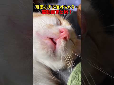 メルトダウン…🫠 サムネイル