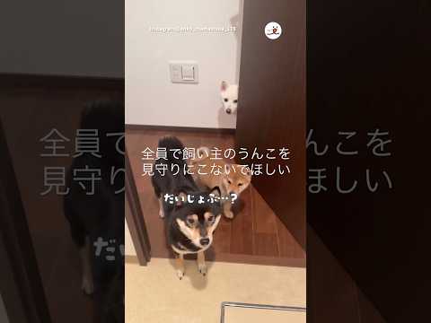 全員で見守る｜PECO
